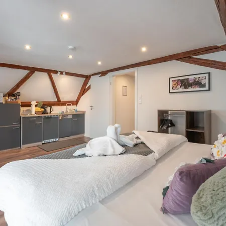 Apartman Anna9 Boardinghouse--business People And Workers, Parking Lot, Wifi, Vat Invoice Günzburg